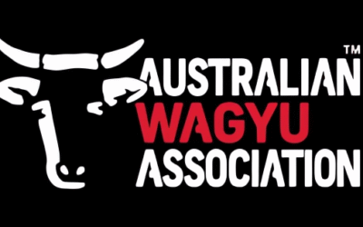 The Australian Wagyu Association: Pioneering Excellence