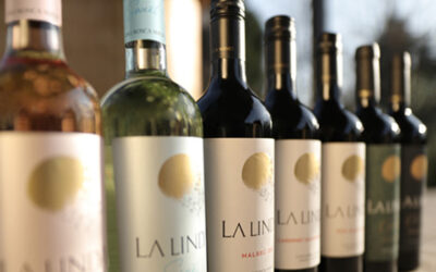 Luigi Bosca: A Legacy of Argentine Winemaking