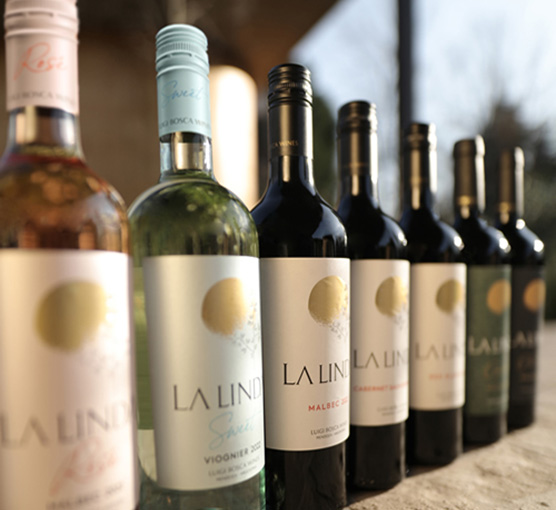 Luigi Bosca: A Legacy of Argentine Winemaking