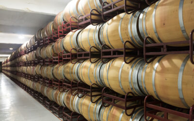 Tawny, Ruby, or Vintage Port: Understanding the Differences