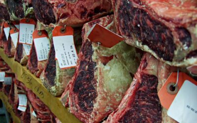 Dry Ageing Beef: Art, Science, or Hype?