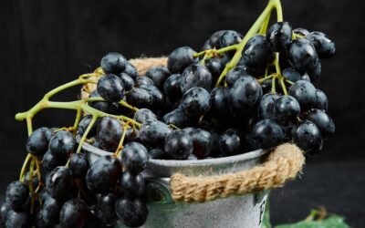 Know Your Grape: Merlot