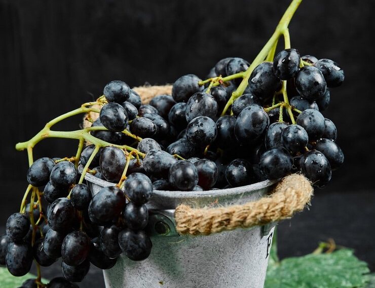 Know Your Grape: Merlot