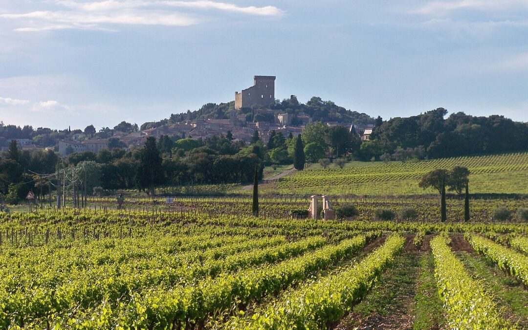Châteauneuf-du-Pape: When Popes Get Thirsty