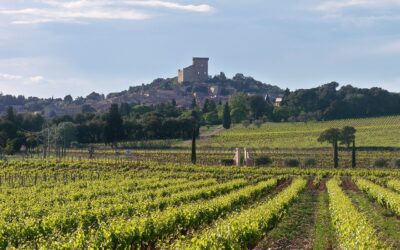 Châteauneuf-du-Pape: When Popes Get Thirsty
