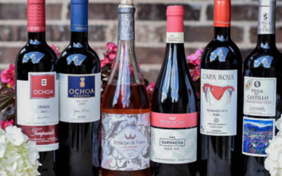Navarra Wines: The Spanish Underdog