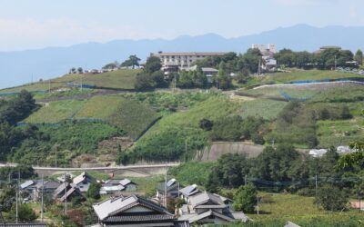 Japanese Red & White Wines: A Quietly Emerging Player