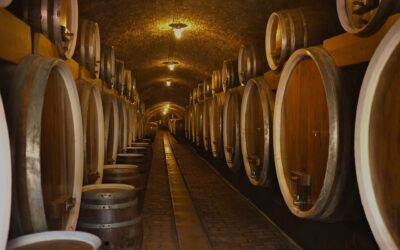 Croatian Wines: The Quiet Mediterranean Gem