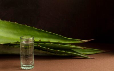 Viva México : Tequila, Mezcal, or Pulque?