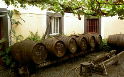 Madeira Wine: Time, Heat & Tradition