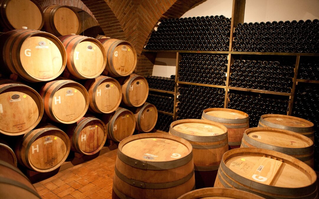 Mexican Wines: From Baja With Boldness