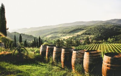 Urla Wines: Older Than Bordeaux, Hotter Than Tuscany