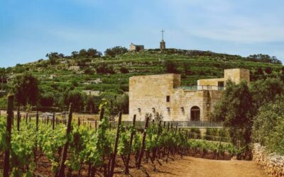 Malta Wines: Tiny Vineyards, Big Act