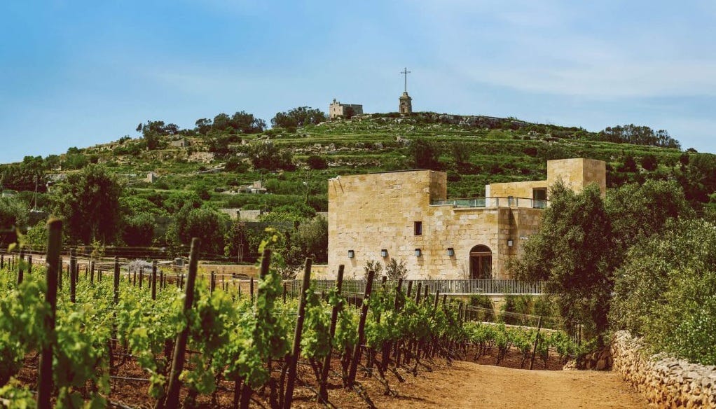 Malta Wines: Tiny Vineyards, Big Act