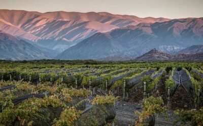 San Juan: Argentina’s Second Wine Act