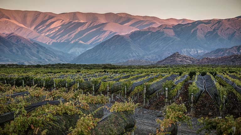 San Juan: Argentina’s Second Wine Act