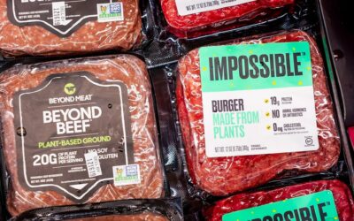 Plant Based Food: Why Fake Meat Didn’t Make The Cut